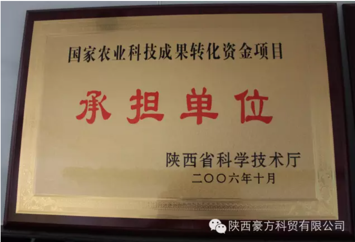 1741833274606924.png 7.png