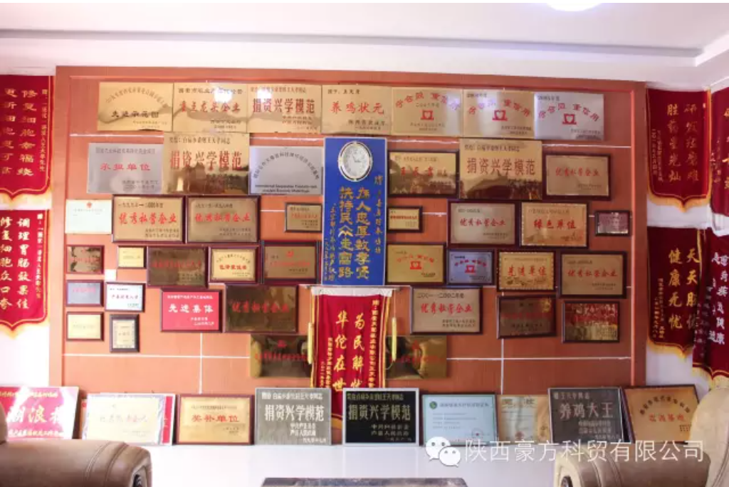 1741833599945923.png 4.png